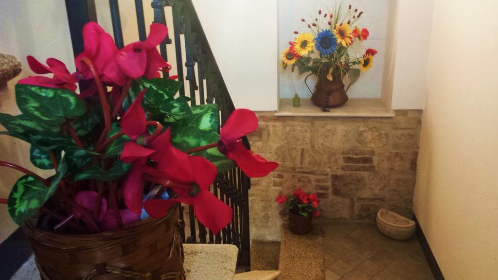 Il Ciclamino Bed And Breakfast Ascoli Piceno Zewnętrze zdjęcie